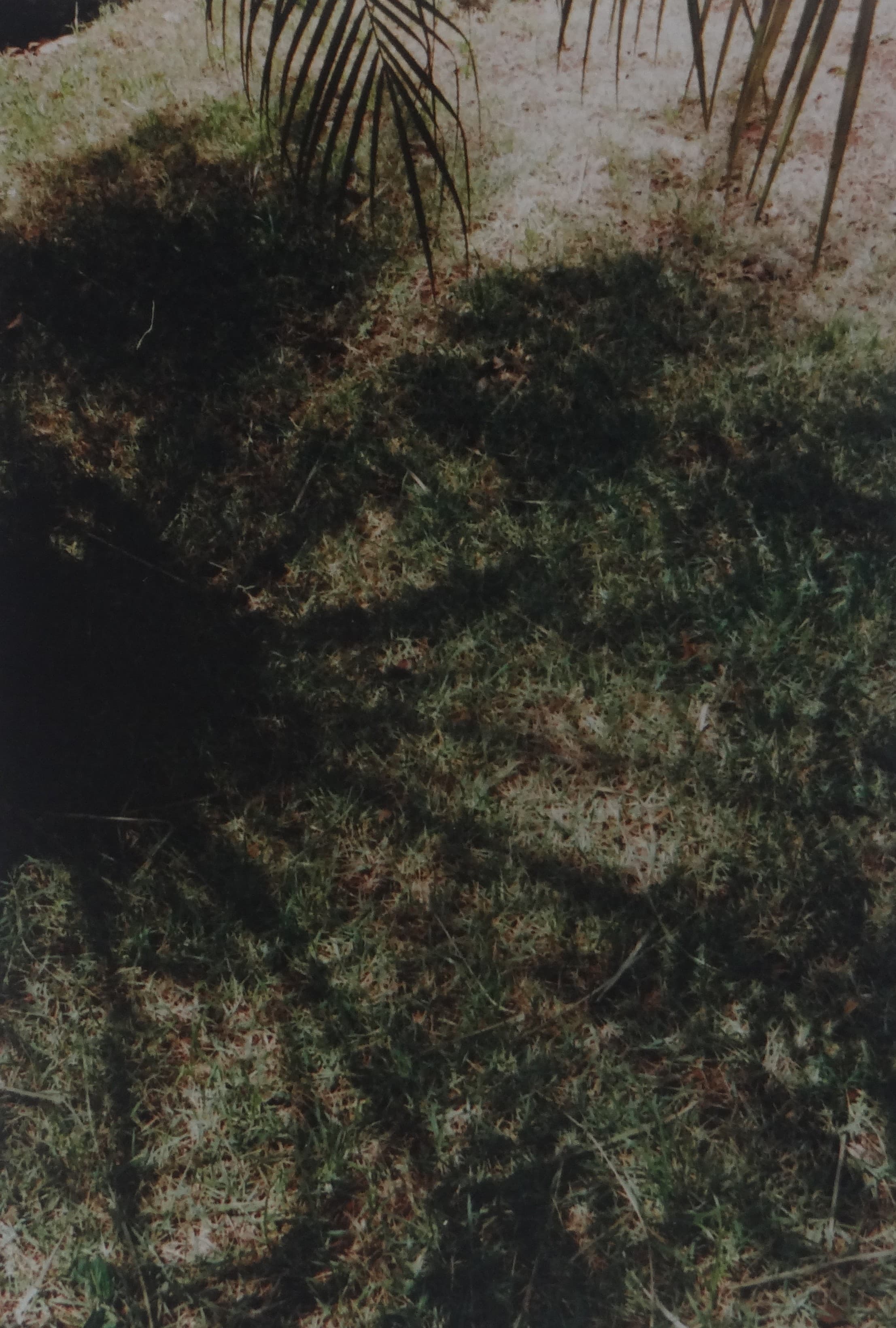 04.jpg