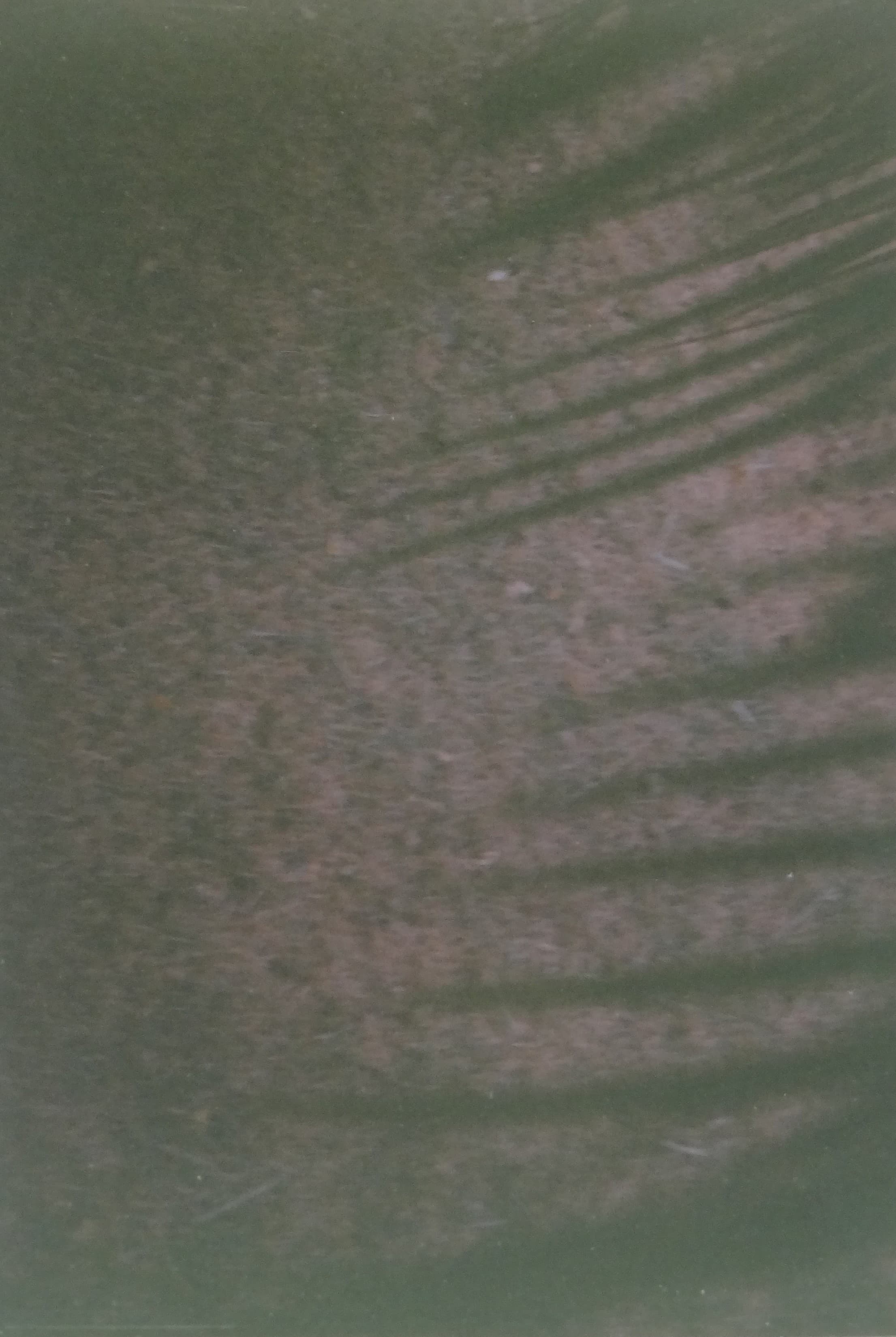 05.jpg